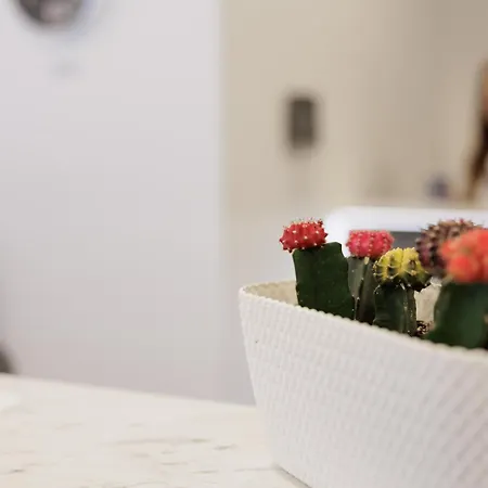 Hostal Local Hostel&suites